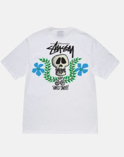 التيشيرت كمساحة للتصميم: تجربتي مع stussy t shirt uae