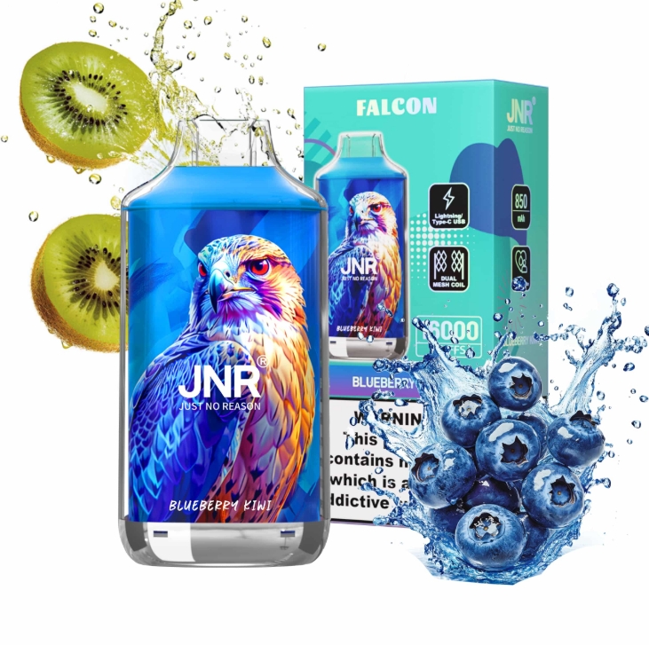 JNR Falcon 16000 - Blueberry Kiwi: A Comprehensive Review